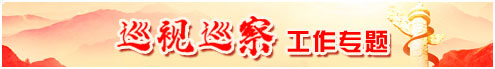 巡視巡察工作專(zhuān)題